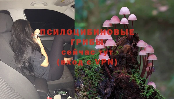 герыч Рославль