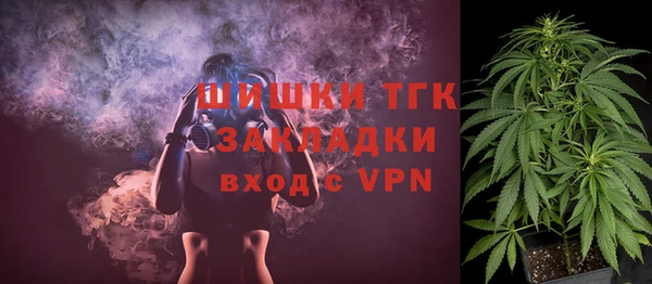 mix Олёкминск